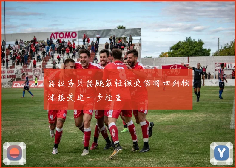 赫拉芬贝赫腿筋轻微受伤将回利物浦接受进一步检查